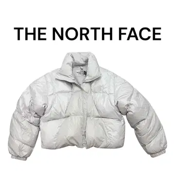 [ 한국 한정판 ] THE NORTH FACE 눕시 다운 자켓