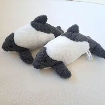 이로와케 돌고래 봉제 인형