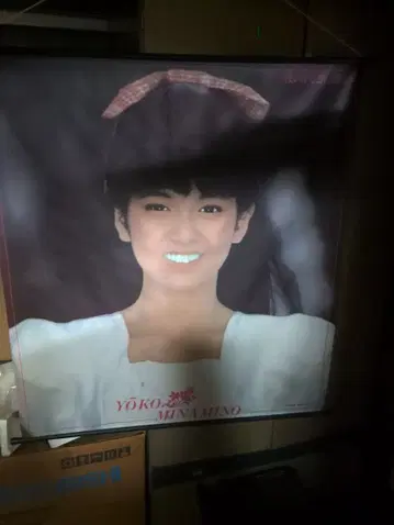 미나미노 요코 태피스트리 하이카라 씨가 통한다 레어