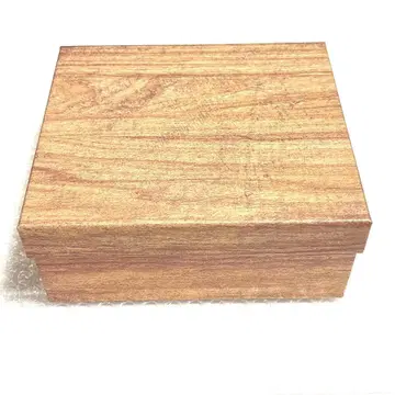 그래서 나는 음악을 그만두었다 (초회 생산 한정판) 요루시카