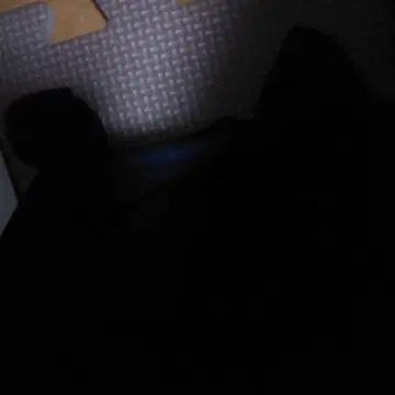 미사용 새상품 컴시즘 [ M ] 체스터 코트 롱 기장 인기 블랙