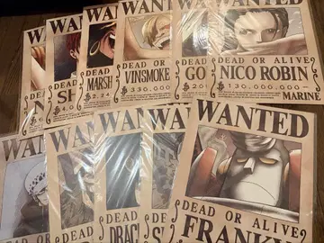 미개봉 원피스 해군 발행 공식 수배서 포스터 ONE PIECE