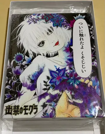 출금 금지 두더지 캔버스 보드 스키노바 한정판