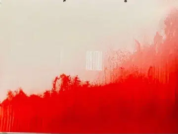 낙하의 왕국 4K 디지털 리마스터 팜플렛