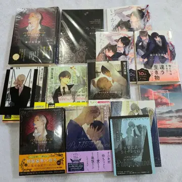 히구치 미사오 선생님 작품