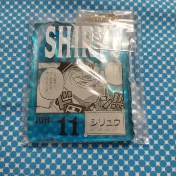 ONEPIECE BASE SHOP 복권 아크릴 블록 참 시류