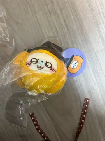 치이카와 할로윈 2023 분장 즐거워~! 마스코트 호박 모몽가