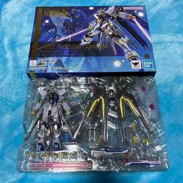 METAL ROBOT혼 스트라이크 프리덤 건담 Re:Coordinate