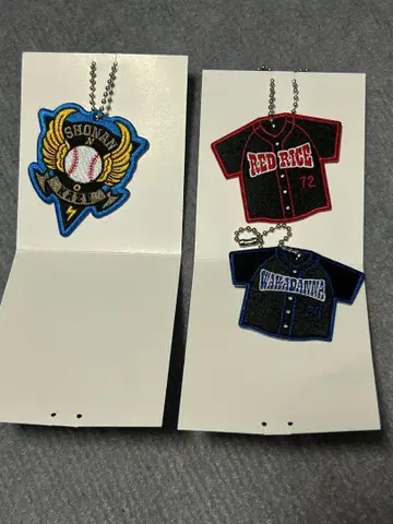 쇼난노카제 와펜 키링 3종