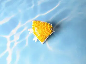 오비 고정 띠 메이지 시대의 도서에서 재현한 하운드투스 체크 츠마미자이쿠