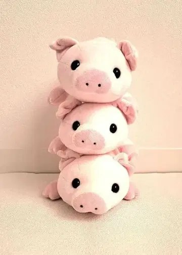 말랑말랑 아기 돼지 3마리 봉제 인형 복권 경품