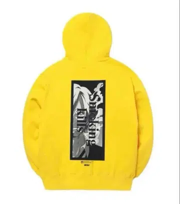 FR2 원피스 콜라보 상디