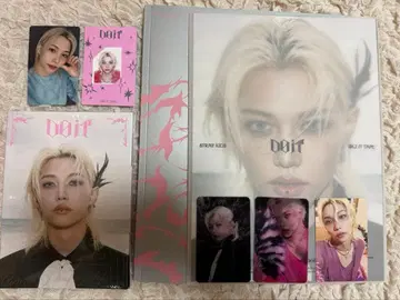 스키즈 stray kids do it 필릭스 트레이딩 카드 아코디언