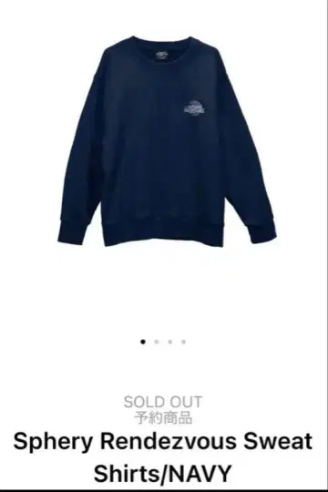 BUMP Sphery Rendezvous 맨투맨 L 사이즈