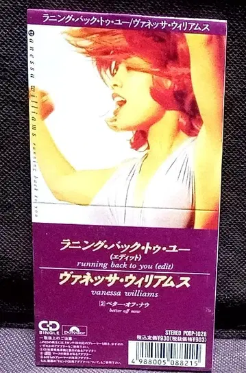 Vanessa Williams Running Back To You