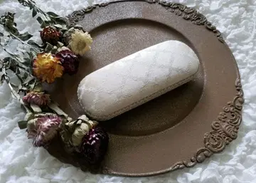 샴페인 골드 세련된 안경 케이스