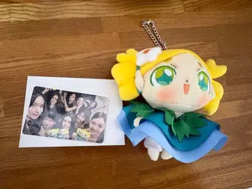 미이짱 백참 & 트레이딩 카드