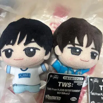 남코 한정판 TWS SD 인형 DOHOON 도훈 투아스 경민