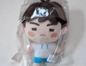 BTS Island In The Seom SUGA 블라인드 마스코트 참