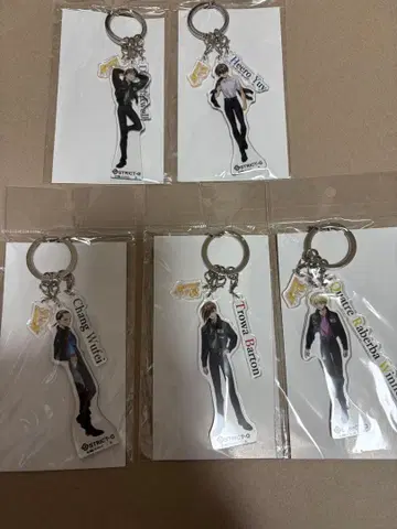 건담 W 30주년 기념 아크릴 키링 STRICT-G 전종