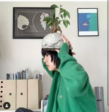 [ 아이묭 착용 ] USA IZOD LACOSTE 가디건 그린 L