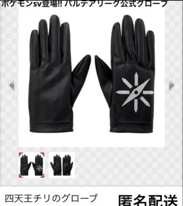 포켓몬 센터 한정판 팔데아 사천왕 칠리의 그로브