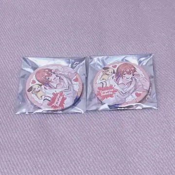 우라시마사카타센 봄 투어 달 캔뱃지 사카타 와타카와