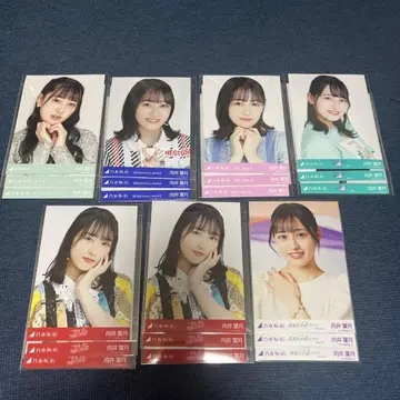 노기자카46 무카이 하지키 브로마이드 컴프 묶음 판매