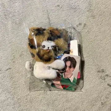 FUNNY TREASURE HOPPI 포토카드 홀더