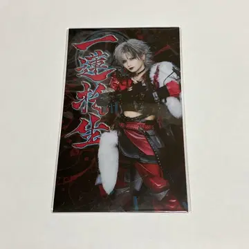 Royz 스바루 스틱 시트