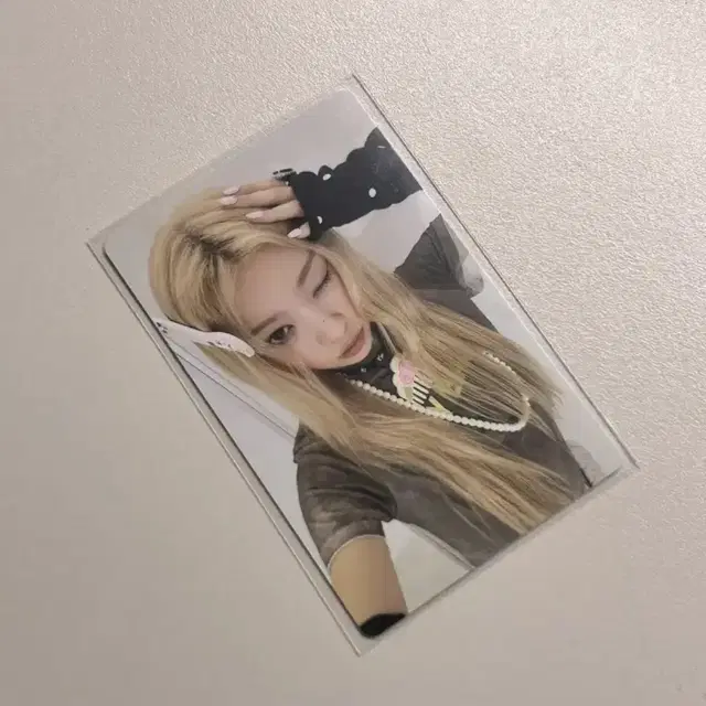 아일릿 나큐트 애니모어 모카 앨범포카