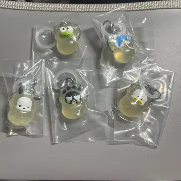 하피단부이 오이스터 메지루시