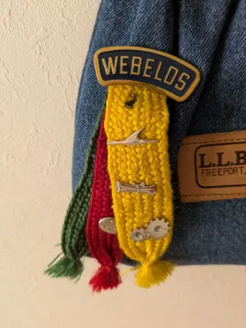 빈티지 보이 스카우트 WEBELOS 컬러 리본 기능장 핀 배지