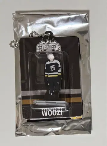 익명 배송 SEVENTEEN 세븐틴 HOME 아크릴 키링 우지