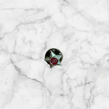 [레어] 텐더 로인 별 모양 핀 배지 빨간색