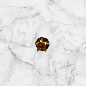 [레어] 텐더 로인 별 모양 핀 배지 빨간색