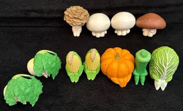 기다림 채소의 경우 버섯의 경우