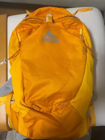 GREGORY 망고색 백팩 중고 CROSS FLO