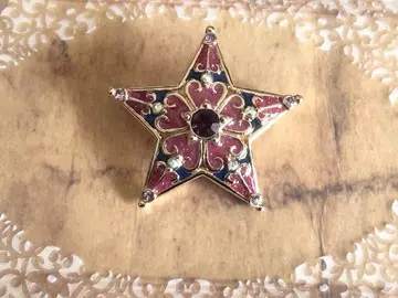 새상품급 ANNA SUI 안나수이 스타 별 크리스마스 브로치