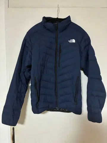 THE NORTH FACE 네이비 다운 자켓