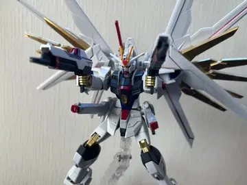 HG 1/144 마이티 스트라이크 프리덤 건담 완성품