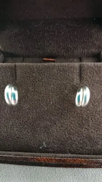 PT900 후프 귀걸이 후크식 1.2g