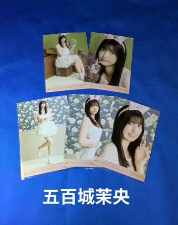 노기자카46 이오키 마오 할로윈 2025 5종 컴프