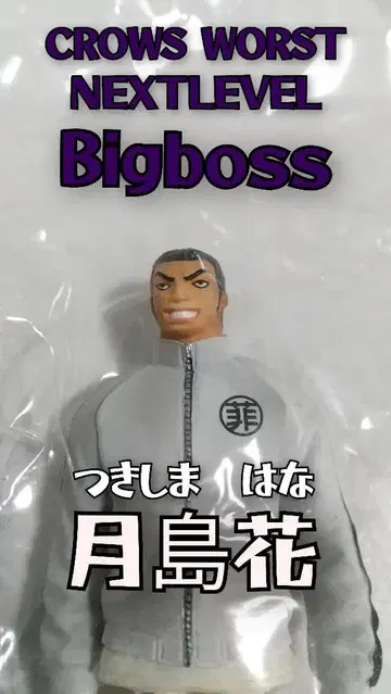 크로우즈 워스트 넥스트 레벨 츠키시마 하나