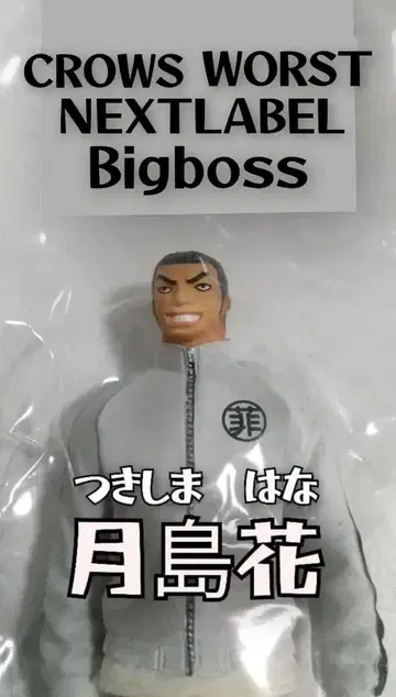 크로우즈 워스트 넥스트 라벨 츠키시마 하나