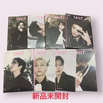 Stray Kids 스키즈 DO IT 아코디언 8 미개봉