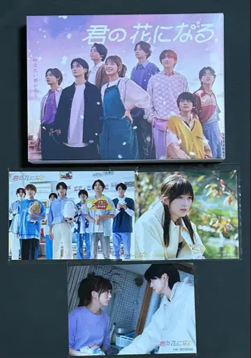 너의 꽃이 되는 DVD-BOX (7매 포함) + 사진 3매 포함