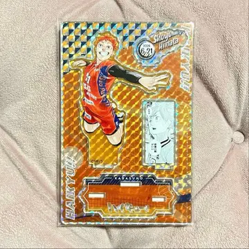 아크릴 스탠드 히나타 쇼요