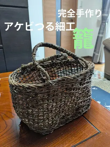 아케비 덩굴 세공 다크 브라운 바스켓백 핸들 포함, 중형