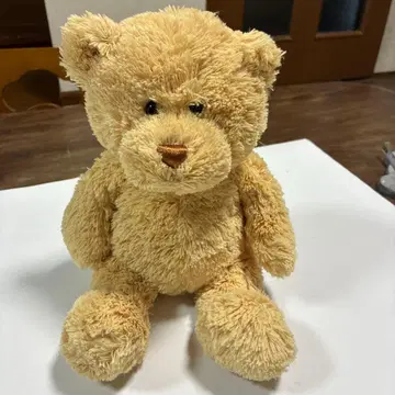 GUND 곰 봉제 인형 베어